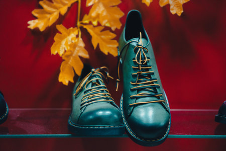New fashionable shoes in store window, autumn season.の写真素材