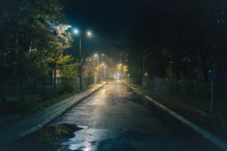 Small street at night in autumn, foggy cold atmosphere without passers-by.の写真素材