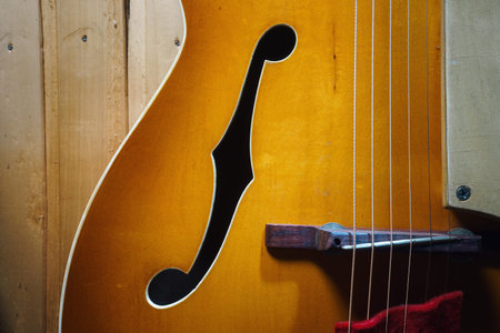Details of an old jazz guitar from the fifties on a wooden paneled wall.