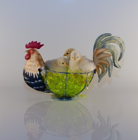 Three Chickadees in Rooster Basketの写真素材