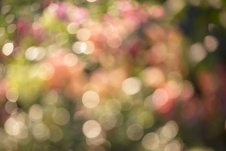 Bokeh Abstract lights viewの写真素材