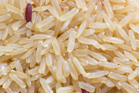 High quality riceの写真素材
