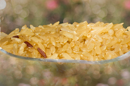 Brown riceの写真素材