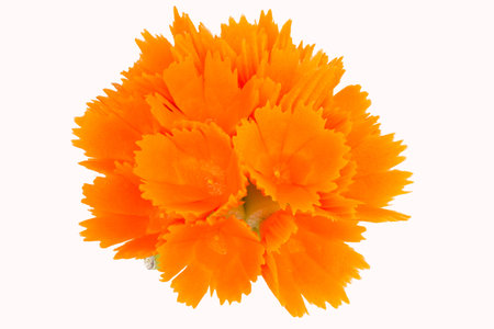 vegetable carvedの写真素材