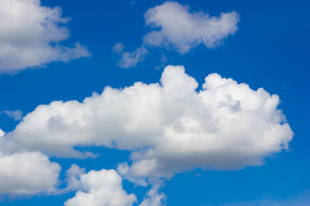 Blue sky could.