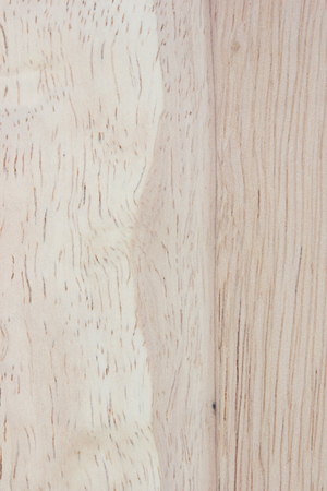 Wood Background Texture.の写真素材