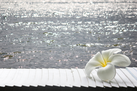 Plumeria flower and the sea.の写真素材