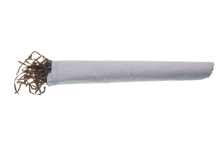 Tobacco.の写真素材