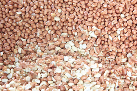 Peanuts. Close up of fried, peeled and salted peanuts.