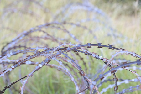 Barb Military Demarcation land of freedom.の写真素材