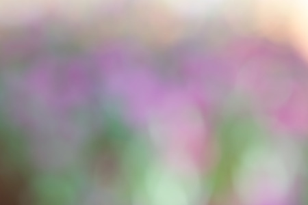 Abstract blurbokeh in nature background.の写真素材