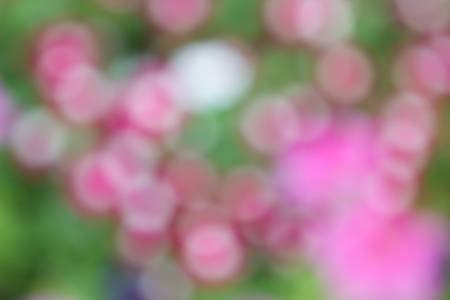 Abstract blurbokeh in nature background.の写真素材