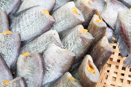 Snakeskin Gourami Fish,Pla Salit fish Trichogaster pectoralis dry overlay local cuisine thailand.の写真素材