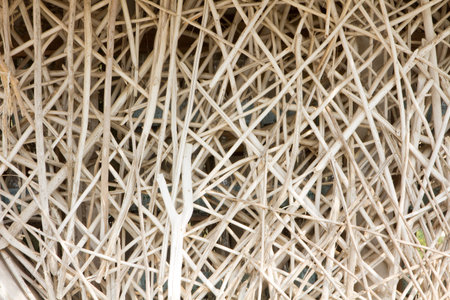 Background wall dry branches.の写真素材