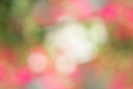 Blurred vivid sweet bright background of nature,abstract bright color.の写真素材