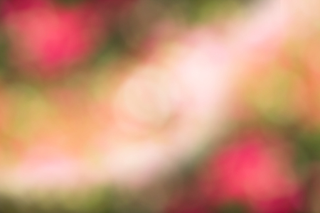 Blurred vivid sweet bright background of nature,abstract bright color.の写真素材