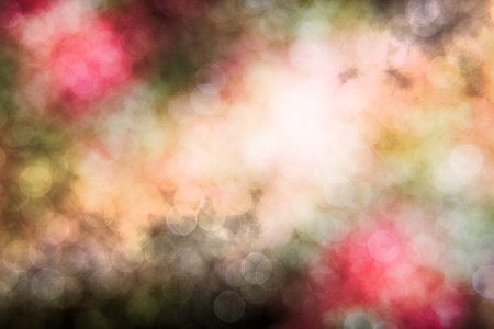Wonderful lights background.