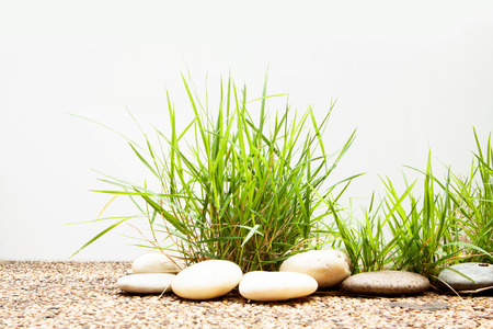 Clump of grass on floor isolated on white background.の写真素材