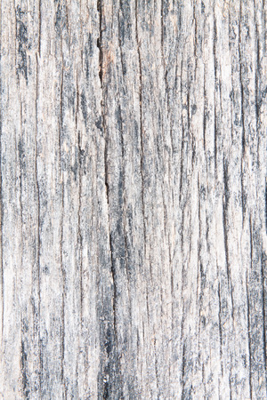 Wood Texture.の写真素材