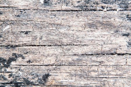 Wood Texture.の写真素材