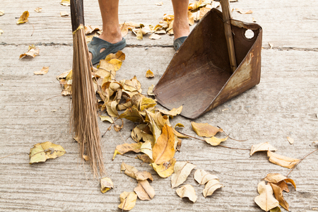 Sweep the autumn leaves on the road.の写真素材