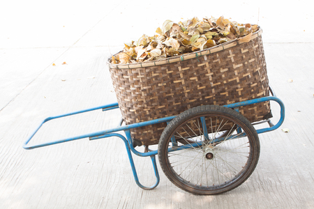 Sweep debris leaves cart.の写真素材
