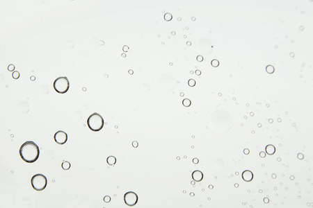 Water drops on white background.の写真素材