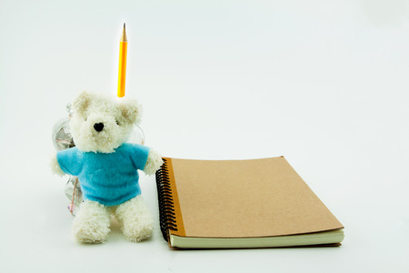 teddy bear with notebook and pencil on white background.  leadership concept.の写真素材