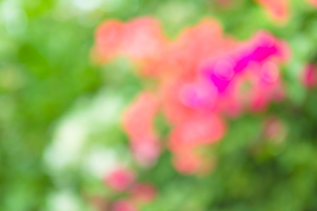 blur background in spring.の写真素材