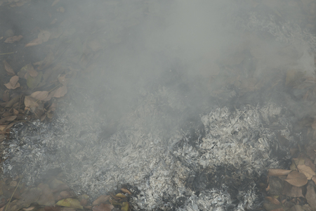 Leaf burning pollutes the air and causes illness.の写真素材