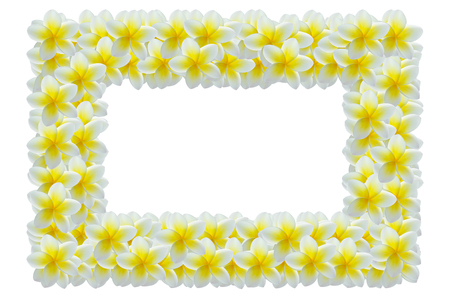 Frame of flowers. Tropical flowers frangipani or plumeria. Romantic concept.の写真素材