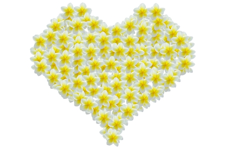 Frame of flowers. Tropical flowers frangipani or plumeria. Romantic concept.の写真素材