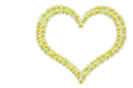 Frame of flowers. Tropical flowers frangipani or plumeria. Romantic concept.の写真素材