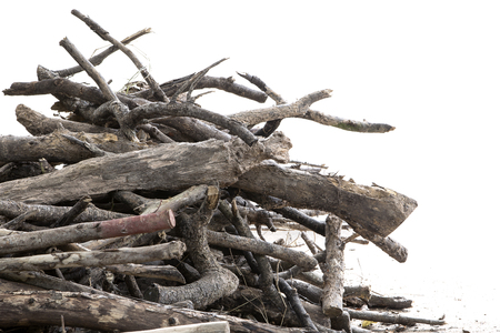Pile of firewood isolated on white background.の写真素材