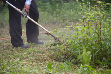 Man mowing the grass in garden.