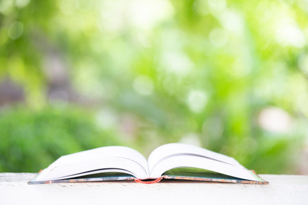 Open book with blurred background.の写真素材