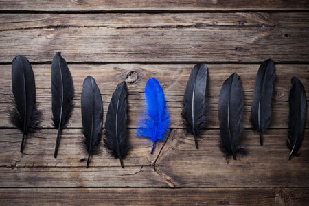 black and blue feathers on old wooden backgroundの写真素材