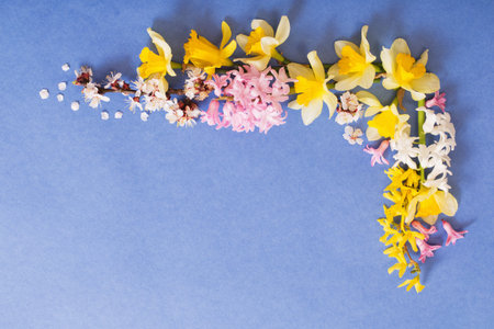 spring flowers on blue paper background