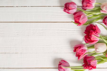 red tulips on white wooden backgroundの写真素材