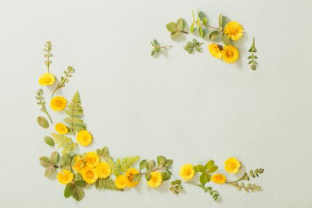 spring yellow flowers on paper backgroundの写真素材