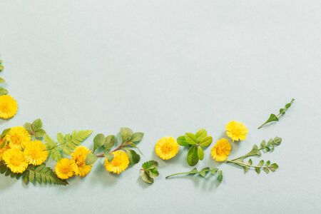 spring yellow flowers on paper backgroundの写真素材