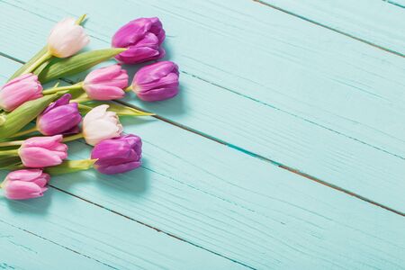 spring flowers on blue mint wooden backgroundの写真素材