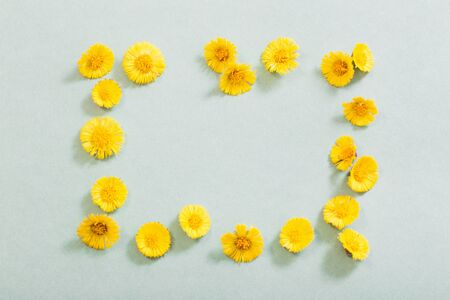 spring yellow flowers on paper backgroundの写真素材