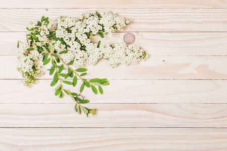 white summer flowers on wooden backgroundの写真素材