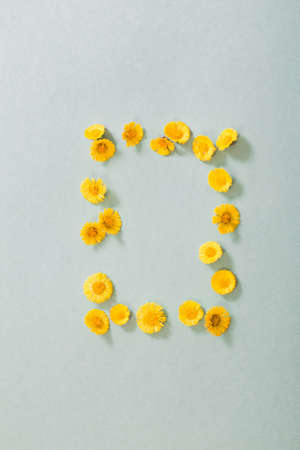 spring yellow flowers on paper backgroundの写真素材