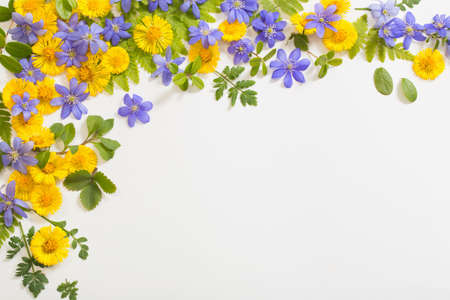 spring yellow and violet flowers on paper backgroundの写真素材