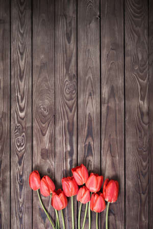 red tulips on dark wooden backgroundの写真素材