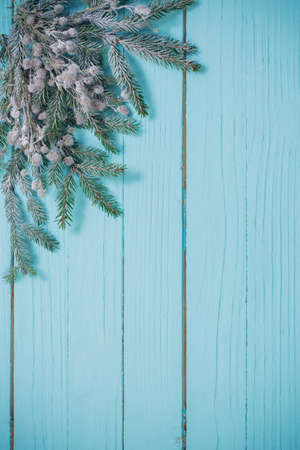 fir branches in snow on blue wooden backgroundの写真素材