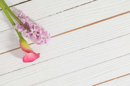 spring flowers on white wooden backgroundの写真素材