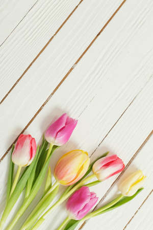 beautiful tulips on white wooden backgroundの写真素材